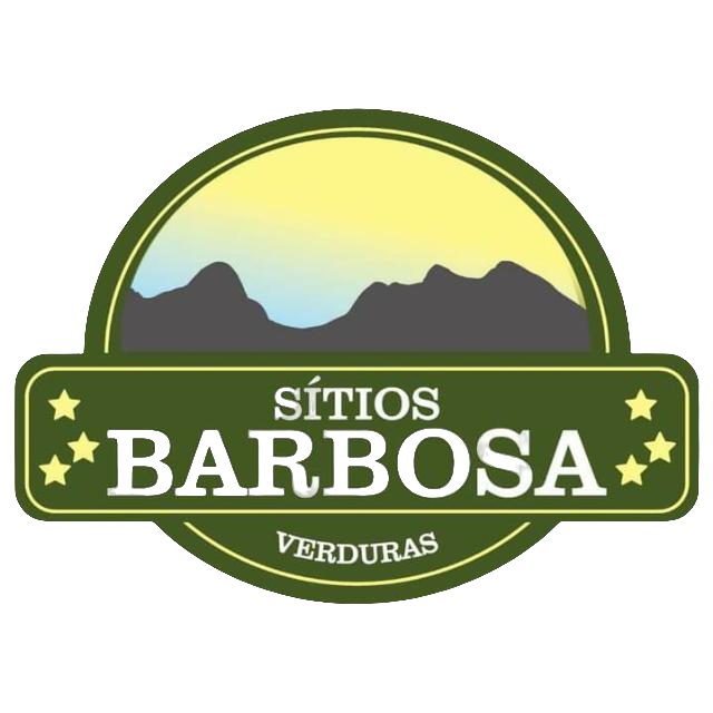 Cliente 4